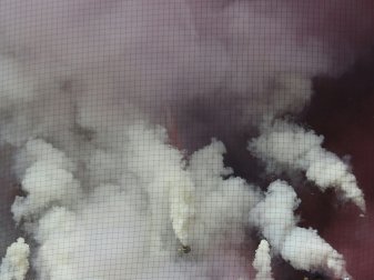 Geldstrafe wegen Rauchbombe im Zuschauerbereich Geldstrafe wegen Rauchbombe im Zuschauerbereich