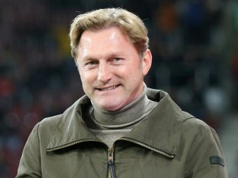 Hasenhüttl erwartet noch einen "langen Weg"