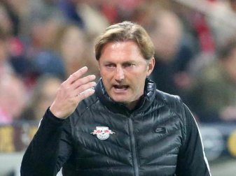 Ralph Hasenhüttl will sich mit seinem Team direkt für die Champions League qualifizieren. Foto: Thomas Frey Ralph Hasenhüttl will sich mit seinem Team direkt für die Champions League qualifizieren. Foto: Thomas Frey