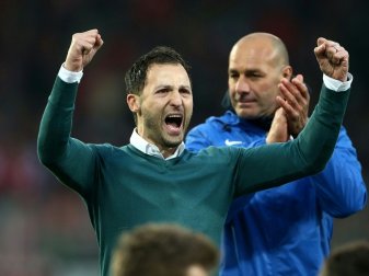 Tedesco feiert mit Aue den dritten Sieg in Serie Tedesco feiert mit Aue den dritten Sieg in Serie