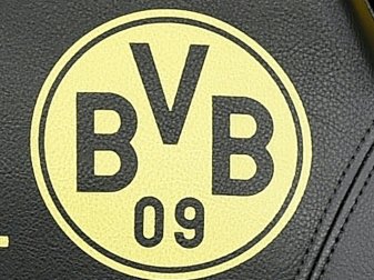 Das Spiel des BVB gegen Monaco ist abgesagt worden Das Spiel des BVB gegen Monaco ist abgesagt worden