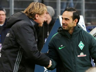 Nouri (r.): Wollen am Ende unbedingt vor dem HSV liegen Nouri (r.): Wollen am Ende unbedingt vor dem HSV liegen
