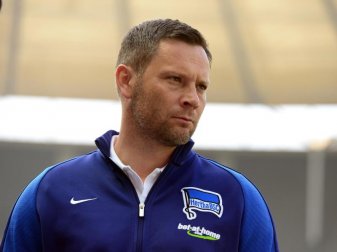 Hertha-Trainer Pal Dardai setzt vor dem Spiel gegen Mainz auf harte Zweikampfführung. Foto: Maurizio Gambarini Hertha-Trainer Pal Dardai setzt vor dem Spiel gegen Mainz auf harte Zweikampfführung. Foto: Maurizio Gambarini
