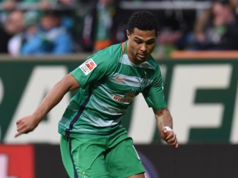 Serge Gnabry hat sich rechtzeitig zum Nordderby gegen den HSV fit gemeldet. Foto: Carmen Jaspersen