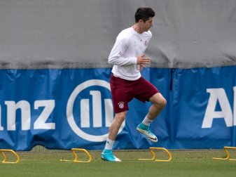Robert Lewandowski nimmt am Training mit dem Team teil. Foto: Sven Hoppe Robert Lewandowski nimmt am Training mit dem Team teil. Foto: Sven Hoppe