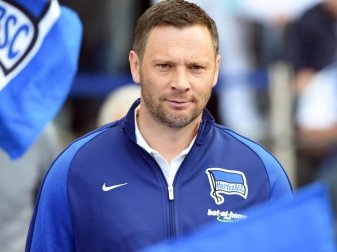 Pal Dardai ist der Trainer von Hertha BSC. Foto: Maurizio Gambarini Pal Dardai ist der Trainer von Hertha BSC. Foto: Maurizio Gambarini