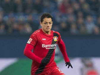 Chicharito kann aller Voraussicht nach wieder für Leverkusen auflaufen. Foto: Guido Kirchner Chicharito kann aller Voraussicht nach wieder für Leverkusen auflaufen. Foto: Guido Kirchner