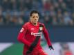 Chicharito kann aller Voraussicht nach wieder für Leverkusen auflaufen. Foto: Guido Kirchner