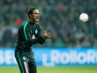 Nouri soll bei Bremen verlängern Nouri soll bei Bremen verlängern