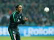 Nouri soll bei Bremen verlängern