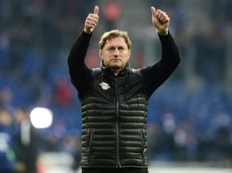 Hasenhüttl will sein Team für die CL verstärken Hasenhüttl will sein Team für die CL verstärken