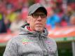 Peter Stöger will mit dem FC nach Europa