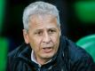 Favre wird als möglicher Tuchel-Nachfolger gehandelt
