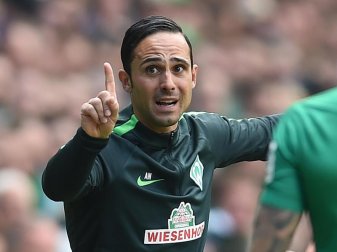 Werder-Trainer Alexander Nouri hat den Erfolg nach Bremen zurückgebracht. Foto: Carmen Jaspersen Werder-Trainer Alexander Nouri hat den Erfolg nach Bremen zurückgebracht. Foto: Carmen Jaspersen