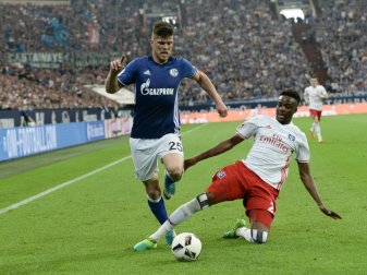 Der Hamburger SV erkämpft sich einen Punkt bei Schalke Der Hamburger SV erkämpft sich einen Punkt bei Schalke