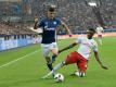 Der Hamburger SV erkämpft sich einen Punkt bei Schalke