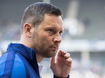 Pal Dardai will keine Zwischenstände aus anderen Stadien Pal Dardai will keine Zwischenstände aus anderen Stadien