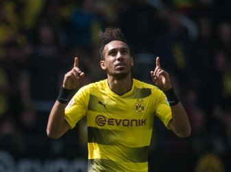 Pierre-Emerick Aubameyang traf gegen Bremen doppelt. Mit 31 Toren ist der BVB-Stürmer erstmals Bundesliga-Torschützenkönig. Foto: Bernd Thissen Pierre-Emerick Aubameyang traf gegen Bremen doppelt. Mit 31 Toren ist der BVB-Stürmer erstmals Bundesliga-Torschützenkönig. Foto: Bernd Thissen