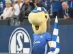 Ährwin sorgte für Schlagzeilen beim Revierderby
