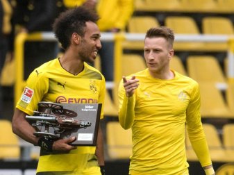 Pierre-Emerick Aubameyang wurde mit 31 Treffern Bundesliga-Torschützenkönig. Foto: Bernd Thissen