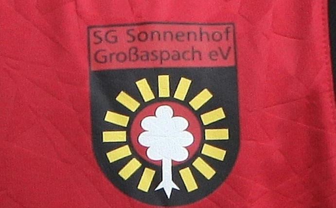 Die SG Sonnehof Großaspach verpflichtet Sascha Hildmann 