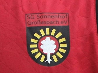 Die SG Sonnehof Großaspach verpflichtet Sascha Hildmann Die SG Sonnehof Großaspach verpflichtet Sascha Hildmann