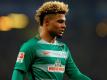 Gnabry verlässt Bremen nach nur einem Jahr