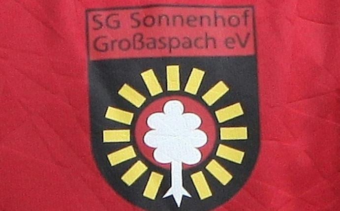Die SG Sonnenhof Großaspach hat Saliou Sané verpflichtet