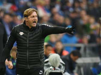 Ralph Hasenhüttl wünscht sich starke Gegner Ralph Hasenhüttl wünscht sich starke Gegner