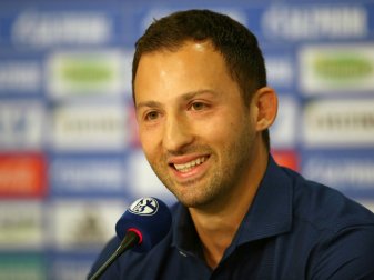 Tedesco soll Schalke zurück in den Europapokal führen Tedesco soll Schalke zurück in den Europapokal führen