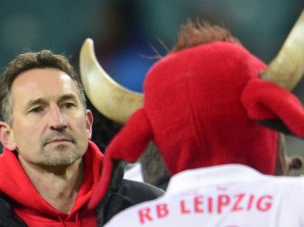 Beierlorzer könnte Trainer bei Regensburg werden Beierlorzer könnte Trainer bei Regensburg werden