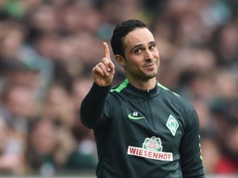 Werder-Trainer Alexander Nouri darf sich auf einen neuen Torwart freuen. Foto: Carmen Jaspersen Werder-Trainer Alexander Nouri darf sich auf einen neuen Torwart freuen. Foto: Carmen Jaspersen
