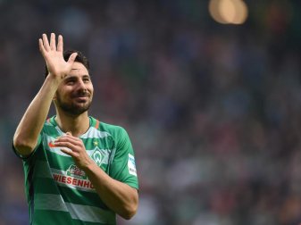 Claudio Pizarros Zeit bei Werder Bremen scheint abzulaufen. Foto: Carmen Jaspersen