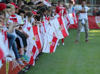 Der VfB Stuttgart hat sich von Boris Taschtschi gtrennt Der VfB Stuttgart hat sich von Boris Taschtschi gtrennt