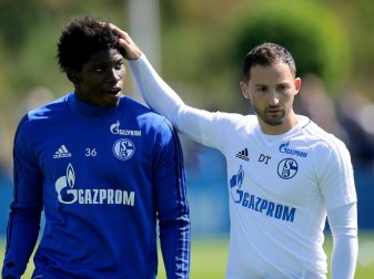 Embolo und Tedesco wollen mit S04 in den Europacup Embolo und Tedesco wollen mit S04 in den Europacup