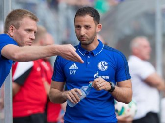 Domenico Tedesco bezeichnete sein Amt bei den Schalkern als Luxus. Foto: Guido Kirchner Domenico Tedesco bezeichnete sein Amt bei den Schalkern als Luxus. Foto: Guido Kirchner