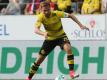 Schmelzer: Nationalelf "soll irgendwie nicht sein"