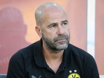 Peter Bosz findet Testspiel-Siege nicht wichtig Peter Bosz findet Testspiel-Siege nicht wichtig