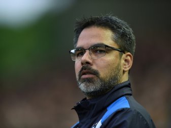 David Wagner spricht über seine Trainerzukunft David Wagner spricht über seine Trainerzukunft
