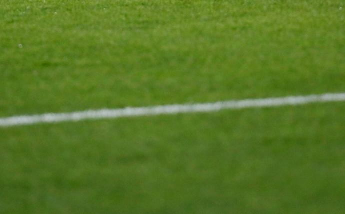 Rasen in der Volkswagen Arena ist von Pilz befallen