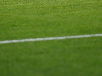 Rasen in der Volkswagen Arena ist von Pilz befallen Rasen in der Volkswagen Arena ist von Pilz befallen
