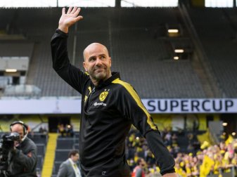 Dortmunds Trainer Peter Bosz freut sich beim Supercup gegen Bayern München auf die gelbe Wand im heimischen Stadion. Foto: Guido Kirchner Dortmunds Trainer Peter Bosz freut sich beim Supercup gegen Bayern München auf die gelbe Wand im heimischen Stadion. Foto: Guido Kirchner