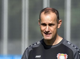 Für Heiko Herrlich ist es das Pflichtspiel-Debüt als Trainer von Bayer Leverkusen. Foto: Henning Kaiser Für Heiko Herrlich ist es das Pflichtspiel-Debüt als Trainer von Bayer Leverkusen. Foto: Henning Kaiser