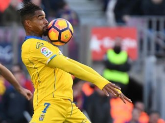 Kevin-Prince Boateng bat Las Palmas um Vertragsauflösung Kevin-Prince Boateng bat Las Palmas um Vertragsauflösung