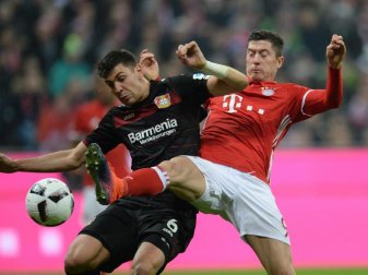Eröffnen mit ihren Clubs die 55. Bundesliga Saison: Bayerns Robert Lewandowski (r) von München und der Leverkusener Aleksandar Dragovic. Foto: Andreas Gebert Eröffnen mit ihren Clubs die 55. Bundesliga Saison: Bayerns Robert Lewandowski (r) von München und der Leverkusener Aleksandar Dragovic. Foto: Andreas Gebert