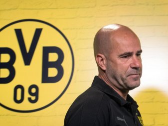 Trainer Peter Bosz gab bei einer Pressekonferenz Infos zum Fitnesszustand seiner Spieler. Foto: Bernd Thissen Trainer Peter Bosz gab bei einer Pressekonferenz Infos zum Fitnesszustand seiner Spieler. Foto: Bernd Thissen