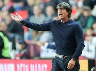 Joachim Löw stellt sich klar gegen die Fan-Chaoten. Foto: Jan Woitas Joachim Löw stellt sich klar gegen die Fan-Chaoten. Foto: Jan Woitas