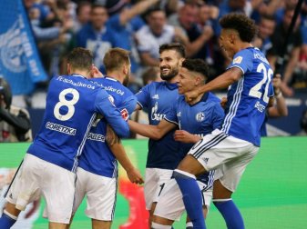 Die Schalker Mannschaft bejubelt Guido Burgstallers (2.v.l) Tor zum 3:1 gegen Stuttgart. Foto: Ina Fassbender Die Schalker Mannschaft bejubelt Guido Burgstallers (2.v.l) Tor zum 3:1 gegen Stuttgart. Foto: Ina Fassbender