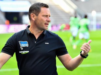 Hertha-Trainer Pal Dardai konnte mit dem einen Punkt gegen Bremen leben. Foto: Soeren Stache Hertha-Trainer Pal Dardai konnte mit dem einen Punkt gegen Bremen leben. Foto: Soeren Stache