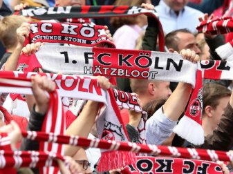 Die Kölner Fans freuen sich auf die Europa League Die Kölner Fans freuen sich auf die Europa League